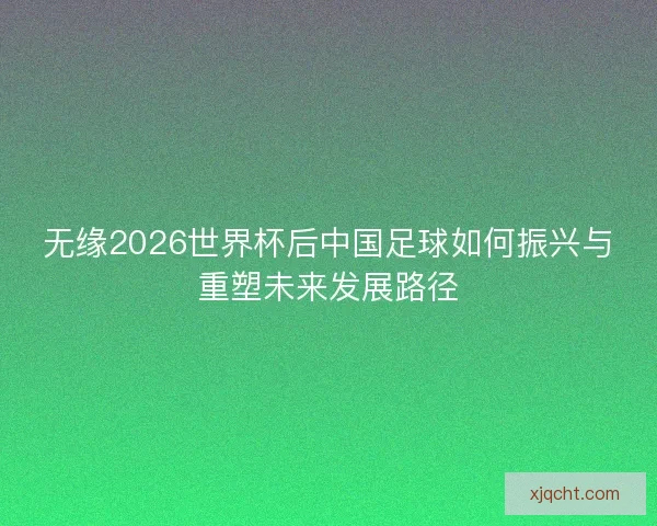 无缘2026世界杯后中国足球如何振兴与重塑未来发展路径