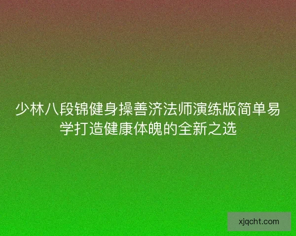 少林八段锦健身操善济法师演练版简单易学打造健康体魄的全新之选 少林八段锦健身操善济法师演练版简单易学打造健康体魄的全新之选