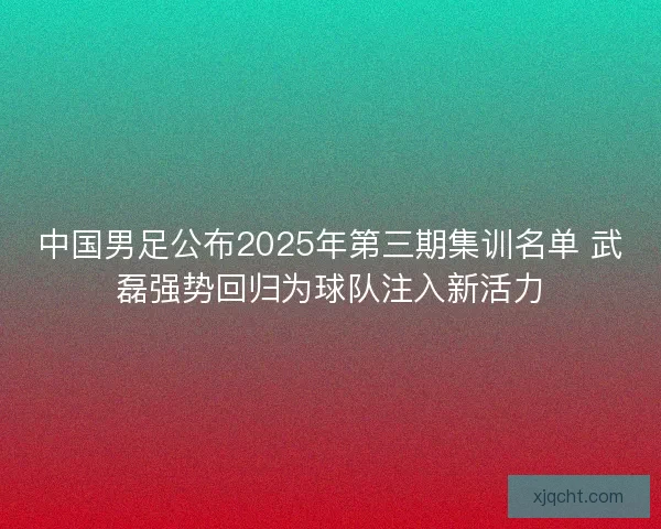 中国男足公布2025年第三期集训名单 武磊强势回归为球队注入新活力 中国男足公布2025年第三期集训名单 武磊强势回归为球队注入新活力