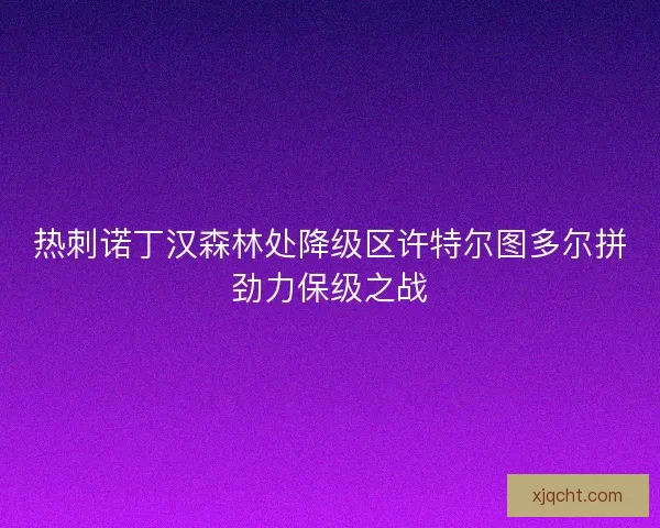 热刺诺丁汉森林处降级区许特尔图多尔拼劲力保级之战
